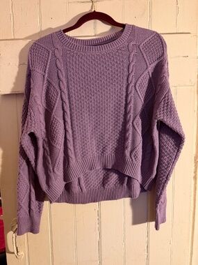 NWT Wild Fable Oversized High-Low Cropped Mauve Sweater Med